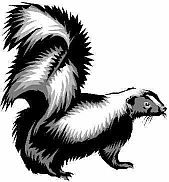 limericks laughs,funny limerick,skunk limericks laughs,funny limerick,skunk